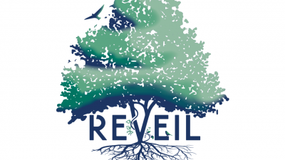 Reveil 2024 - 